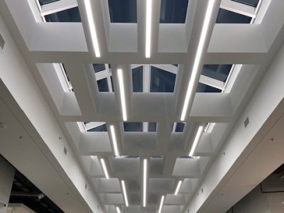 Stevenson University Skylight